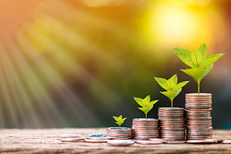 Mutual Funds Mutual Funds